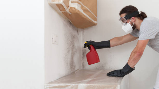 Professional Crawl Space Mold Removal technician working in East Rockaway, NY