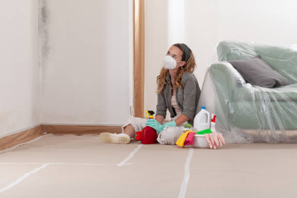 Reliable Crawl Space Mold Removal contractor in East Rockaway, NY by WQB Mold Removal